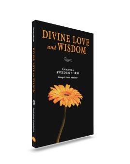 Divine Love and Wisdom - Portable NCE - three-quarter view front