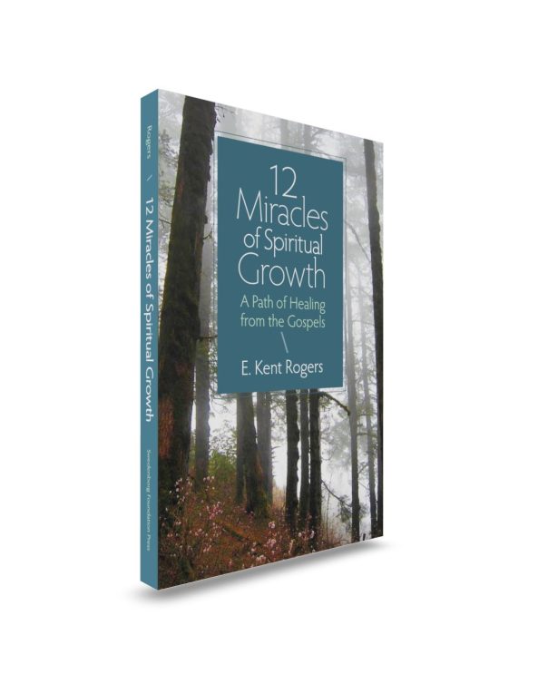 Paperback book upright blue textbox in front of misty forest