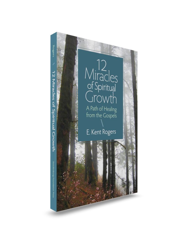 Paperback book upright blue textbox in front of misty forest