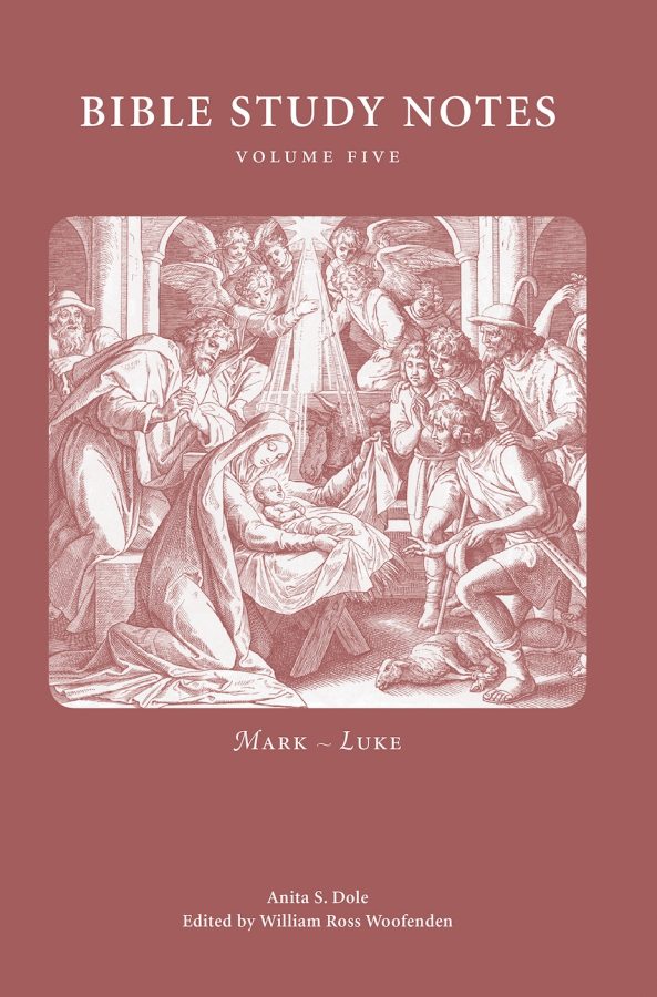 Bible Study Notes vol 5 cover image