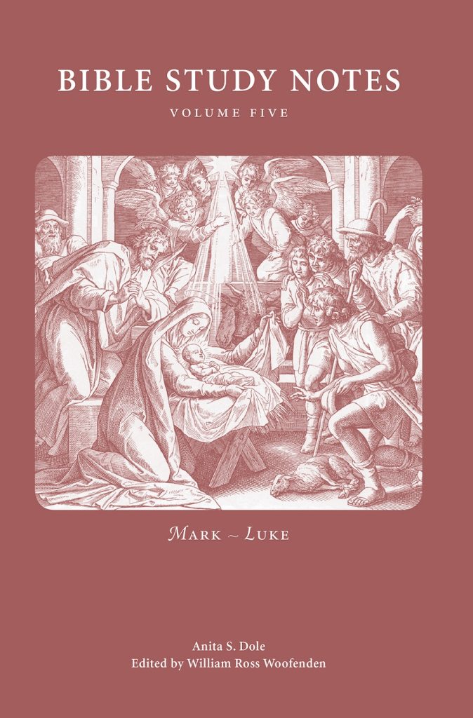 Bible Study Notes vol 5 cover image