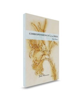 Paperback book upright front cover drawing of a lily