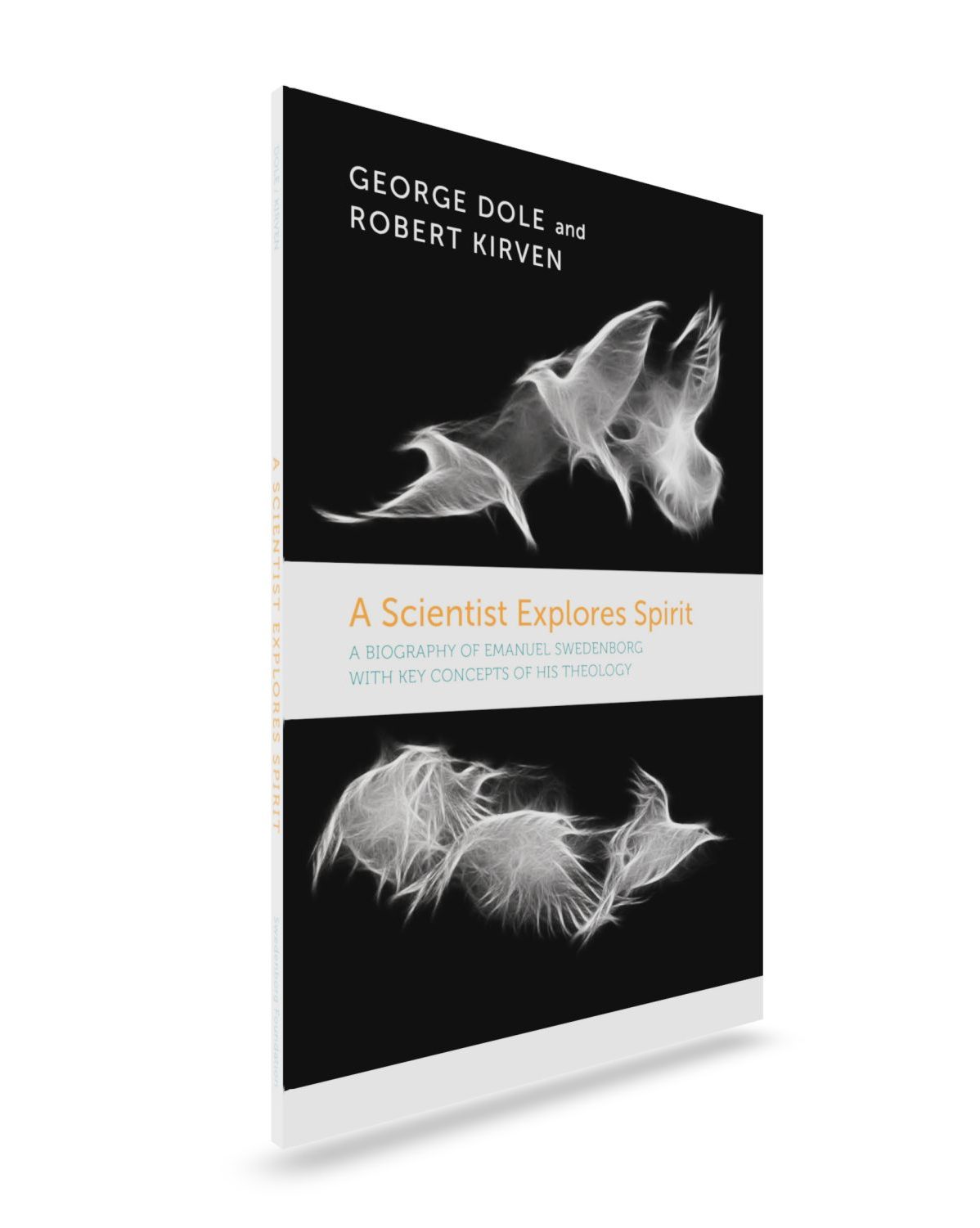 A Scientist Explores Spirit - Front View - Swedenborg Foundation Paperback standing upright, misty bird shapes on black background