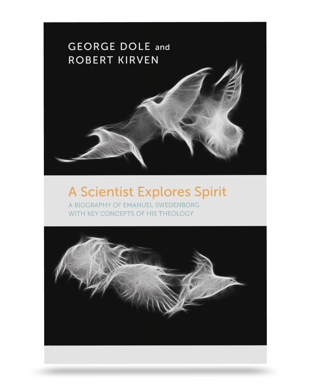 A Scientist Explores Spirit - Straight On View - for product page - Swedenborg Foundation Images of white birds flying in the upper and lower portions against a black background