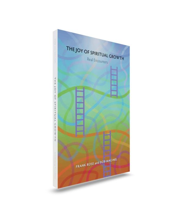 Paperback book upright front cover with ladders connecting curved lines