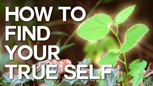 Swedenborg and Life Recap: How to Find Your True Self 9/28/15