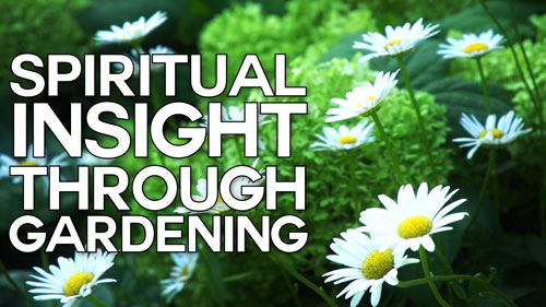 Swedenborg and Life Recap: Spiritual Insight Through Gardening – 8/8/16