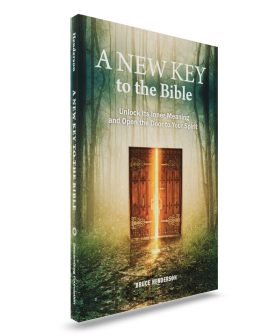 Paperback book standing upright showing door opening in the forest with light shining through