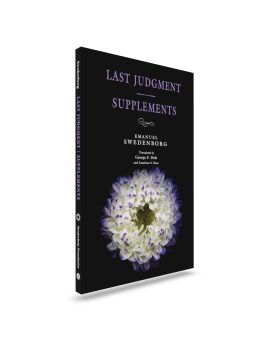 Three-quarter view of Last Judgment - Supplements NCE Portable volume front cover
