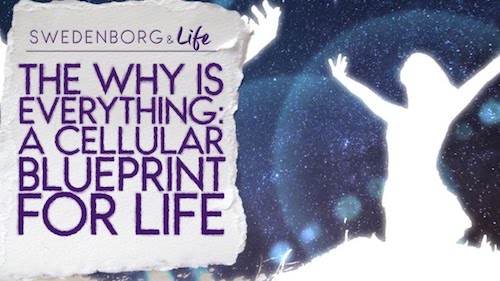 Swedenborg & Life Recap: The Why Is Everything: A Cellular Blueprint for Life — 10.7.19