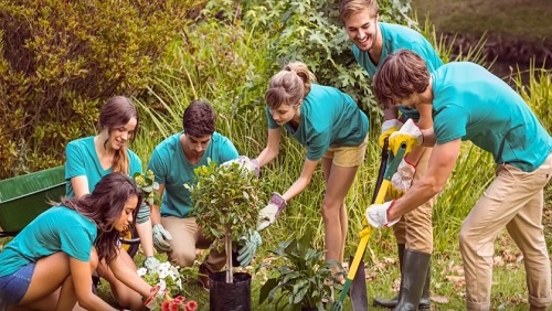 A group of six young adults wearing teal blue t-shirts and khaki pants work together outside to plant trees and flowers.