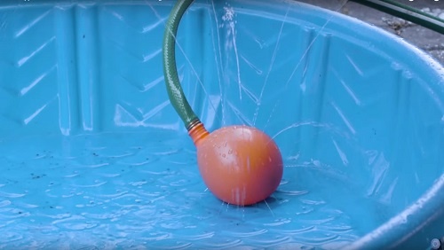 9.33 - Swedenborg Foundation An inflating orange water balloon connected to a green garden hose, inside of a blue plastic wading pool.