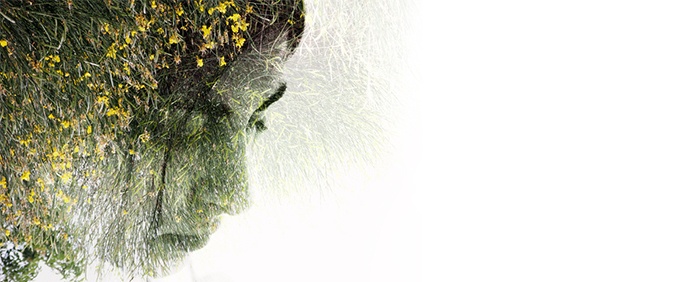 Swedenborg’s Eve: On Mutuality, Meaning, and Mirrors