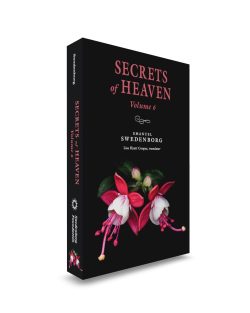 Mockup_SH6_Portable_Front - Swedenborg Foundation Secrets of Heaven vol. 6 - Portable New Century Edition - three-quarter view front