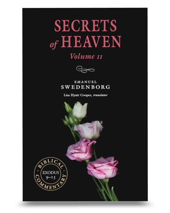 Black paperback book with a pink rose on the cover