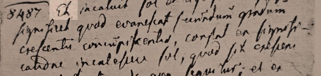 Close-up of a tan manuscript page with dense, cursive black ink handwriting; fragment of an old historical document.