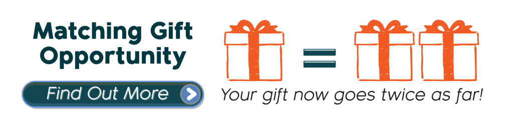 Your Gift 9 - Swedenborg Foundation Banner announcing a matching gift opportunity: large text on the left, two orange gift boxes with an equals sign between them, and the line 'Your gift now goes twice as far!' with a dark blue 'Find Out More' button below leftArea.